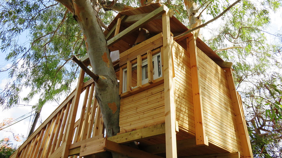 Beginner's guide to glamping - treehouses